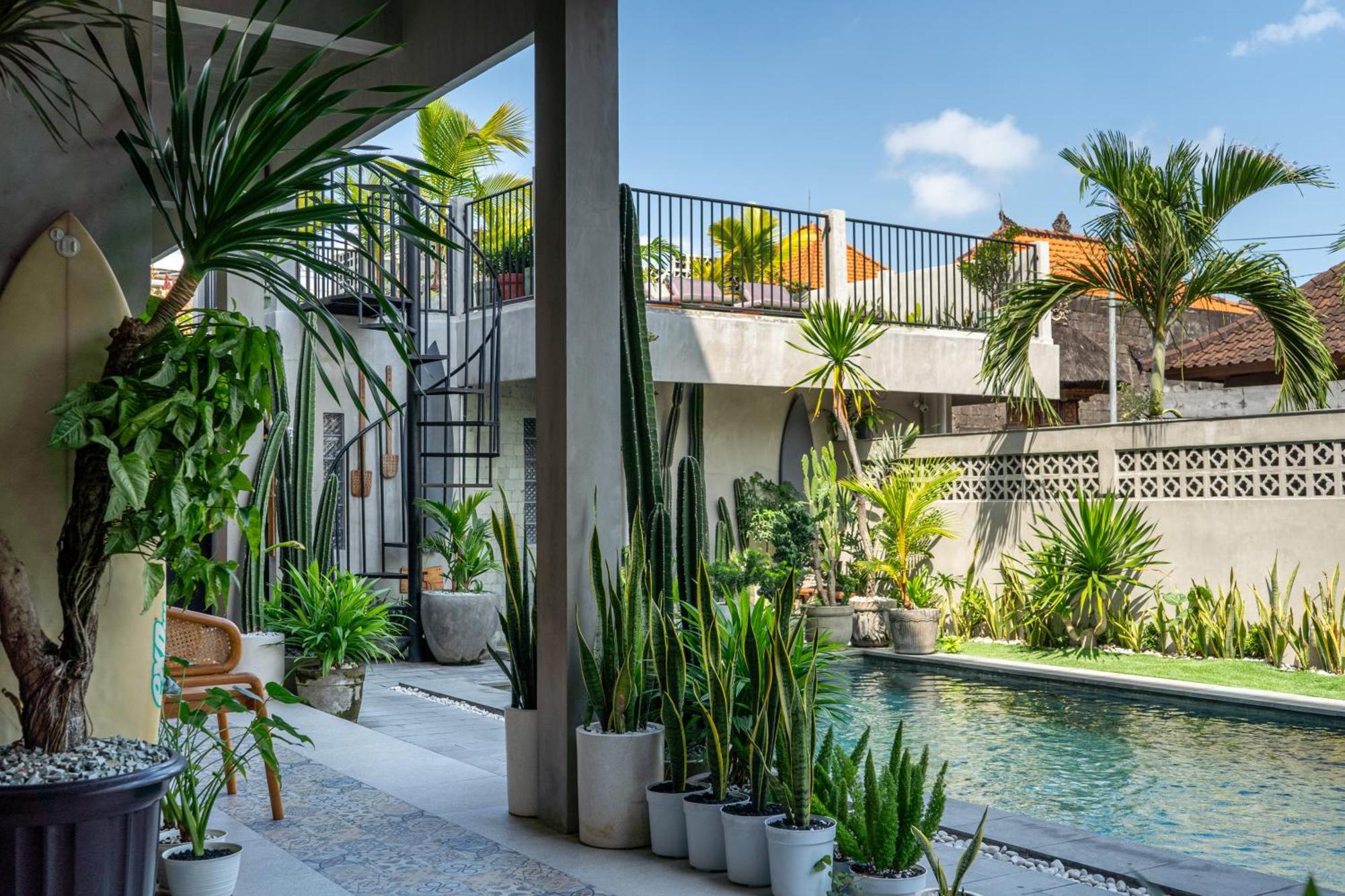 The Breeze Stay And Surf Canggu Eksteriør bilde